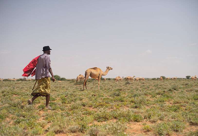 greening somalia